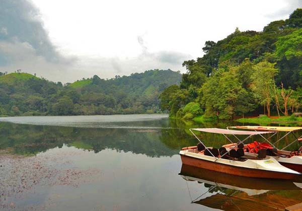 Ooty Wayanad 3  day tour from Vellore